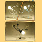 Variable-form, fun nightlight